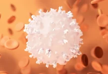 Linfocitos: Los luchadores contra el cáncer que quizá estamos pasando por alto